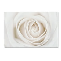 Zaštitni znak likovne umjetnosti zidna umjetnost od cvjetnog platna 'bijela ruža' Cora Niele