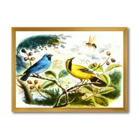 Designart' žuta i Plava ptica u divljini ' tradicionalni uokvireni umjetnički Print