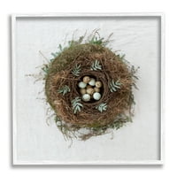 Stupell Industries mirna ptičja gnijezda Pjegava jaja fotografija prirode fotografija bijeli uokvireni umjetnički