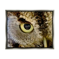 Stupell Industries Owl Eye Close Up Wildlife Životinje I Insekti Painting Grey Floater Framedred Art Print Wall Art