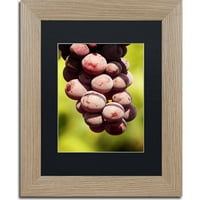 Zaštitni znak fine umjetnosti homegrown grožđe platno umetnost Jason Shaffer, crni mat, breza okvir