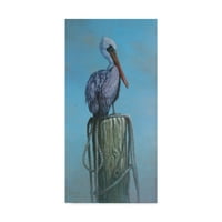 Zaštitni znak Fine Art 'Pelican Perch' Canvas Art Michael Jackson