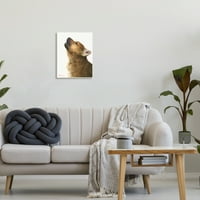 Stupell Industries zavijaju smeđi pas portret zamršene detalje Slikanje slikanje UNFRAMENT Art Print Wall