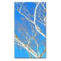 Zaštitni znak Art Spring Tree Umjetnost platna Kathie McCurdy, 30x47
