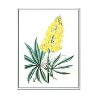 Designart' Drevni Žuti Cvijet I ' Tradicionalni Uramljeni Platneni Zidni Umjetnički Print