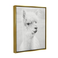 Stupell Monochrome Alpaca Farm Animals & Insects Photography Gold Floater Framedred Art Print Wall Art