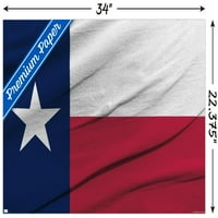 Poster za zastavu TEXAS, 22.375 34