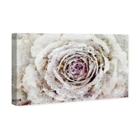 Wynwood Studio Floral and Botanical Wall Art Canvas Prints' Winter New York Flower ' Florals-White, Pink